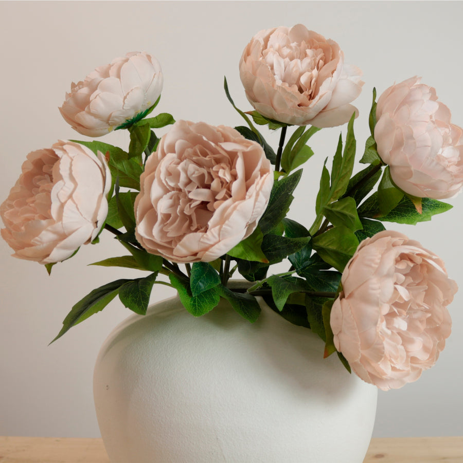 Audrey Peony