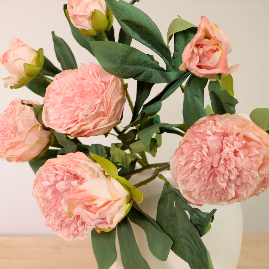 Dried Touch Ruffled Peony