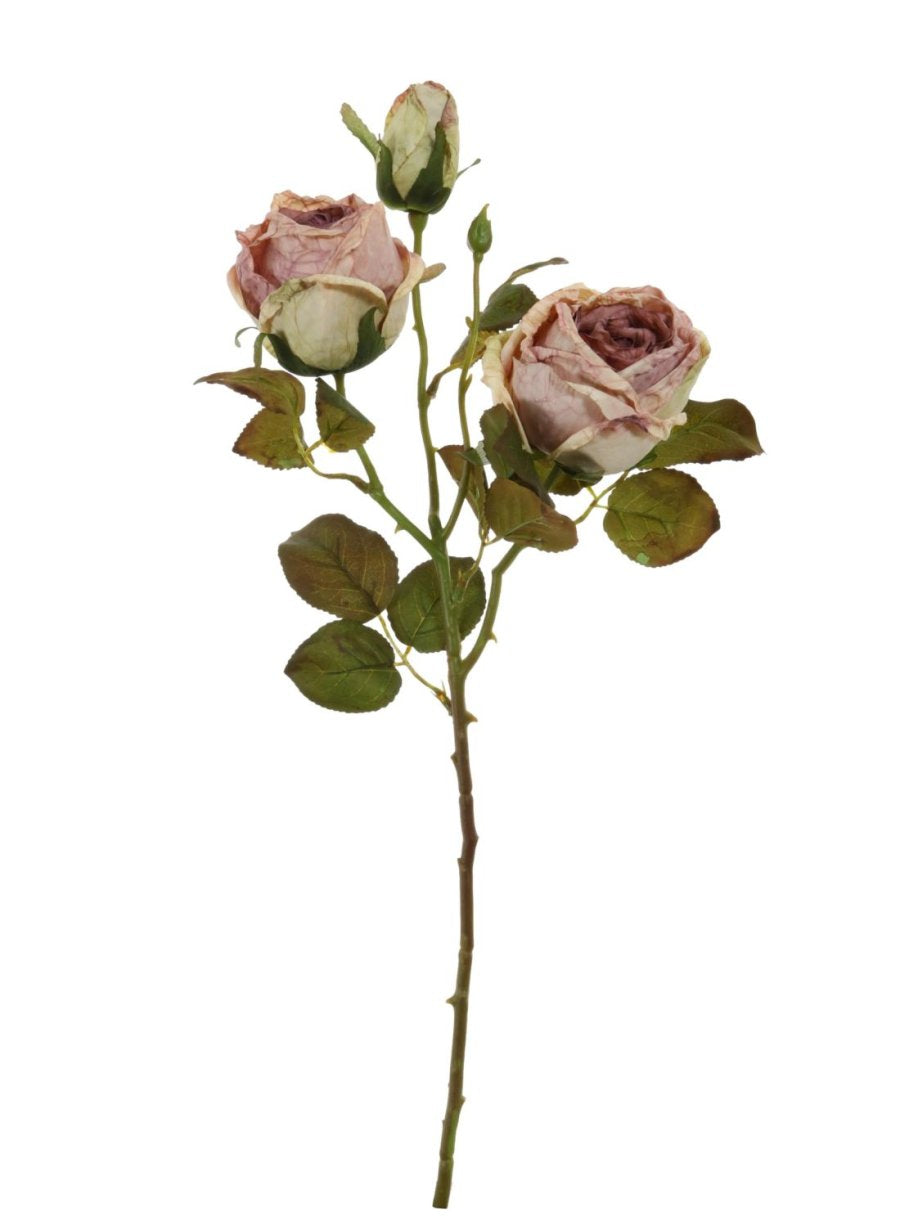 Dried Touch Valera Rose Spray