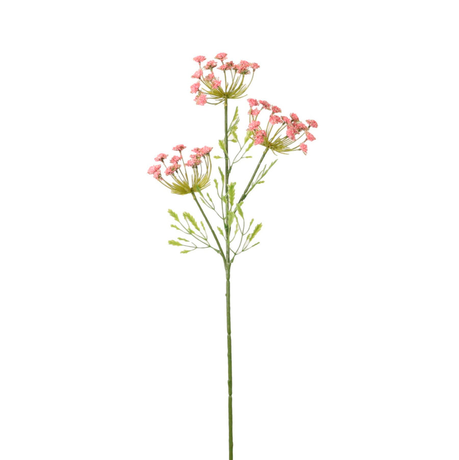 Cow Parsley Spray