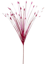 Tipped Grass