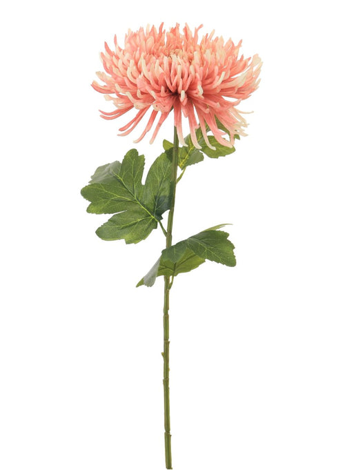Fuji Mum