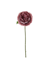 Mini Ranunculus