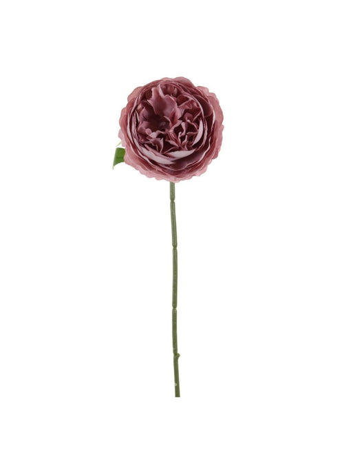 Mini Ranunculus
