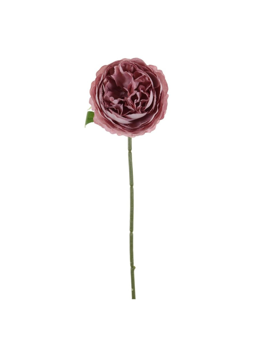 Mini Ranunculus