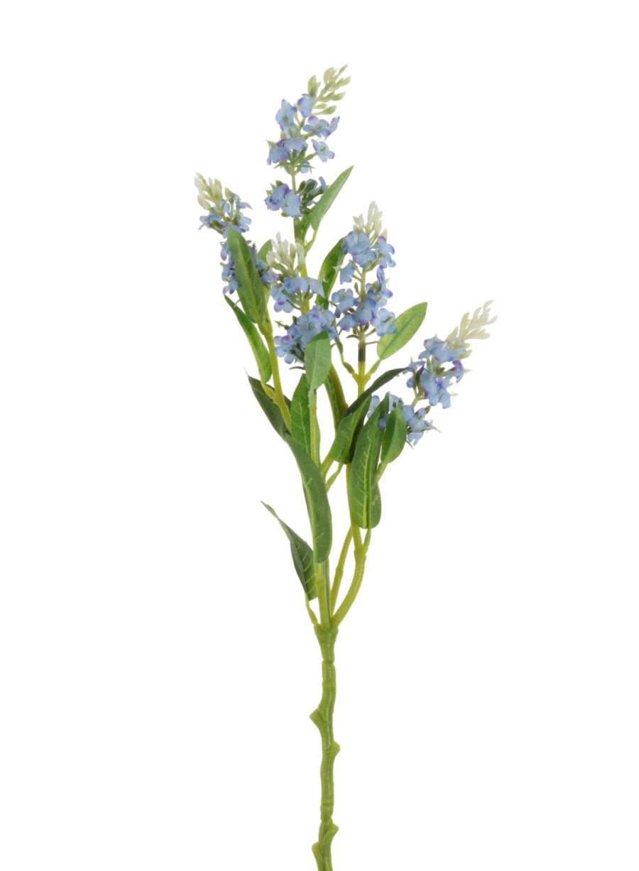 Wild Meadow Spray