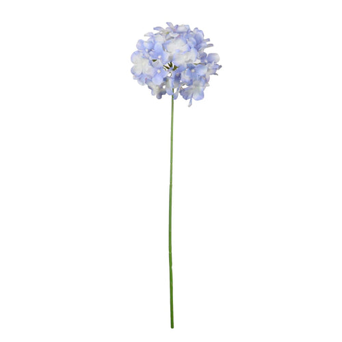 Hydrangea (thin Stem)