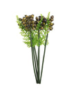Fern Berry Bunch (6x Sprigs)