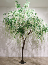 Long Wisteria Branch