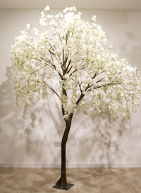 Weeping Cherry Blossom Branch
