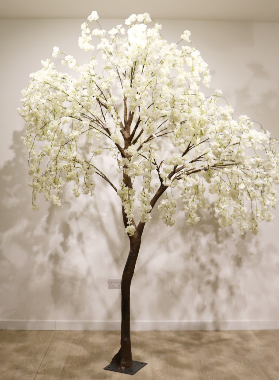 Weeping Cherry Blossom Branch