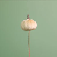 Craft Pic Small Velvet Pumpkin (6 Per Pack)
