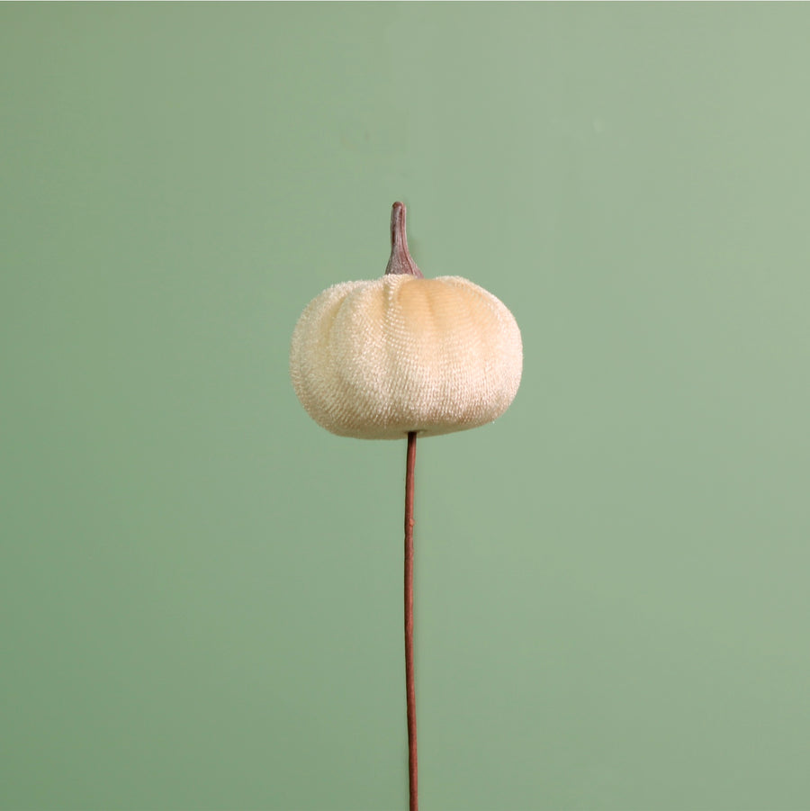 Craft Pic Small Velvet Pumpkin (6 Per Pack)