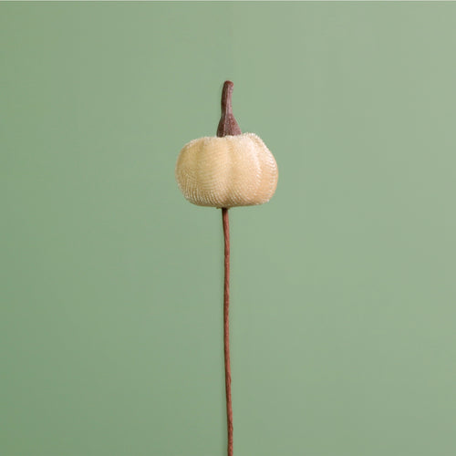 Craft Pic Mini Velvet Pumpkin (12 Per Pack)