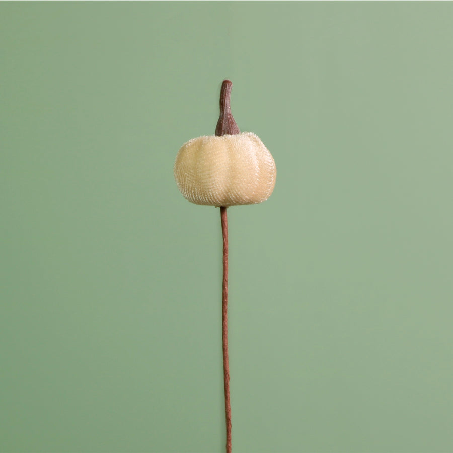 Craft Pic Mini Velvet Pumpkin (12 Per Pack)