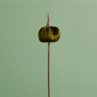 Craft Pic Mini Velvet Pumpkin (12 Per Pack)