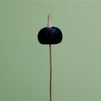 Craft Pic Mini Velvet Pumpkin (12 Per Pack)