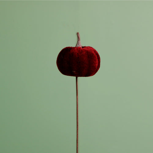 Craft Pic Small Velvet Pumpkin (6 Per Pack)