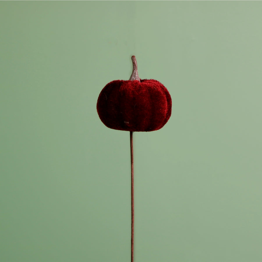 Craft Pic Small Velvet Pumpkin (6 Per Pack)