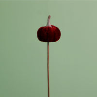 Craft Pic Mini Velvet Pumpkin (12 Per Pack)