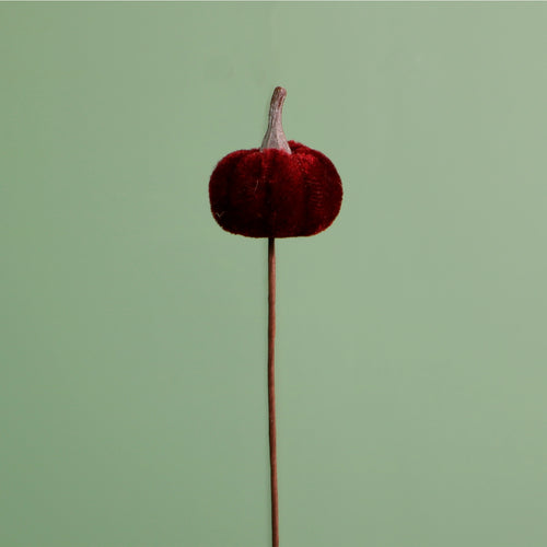 Craft Pic Mini Velvet Pumpkin (12 Per Pack)