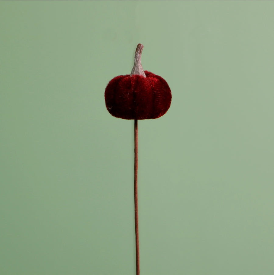 Craft Pic Mini Velvet Pumpkin (12 Per Pack)