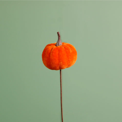 Craft Pic Small Velvet Pumpkin (6 Per Pack)
