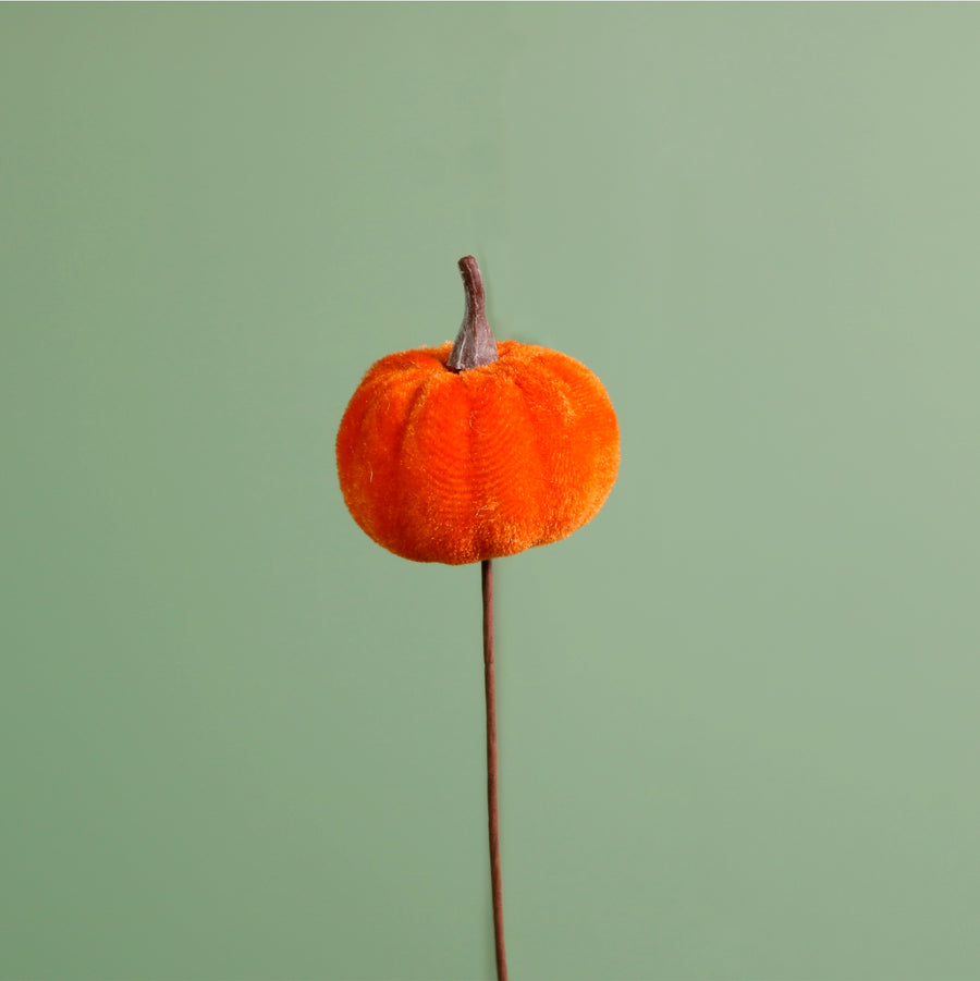 Craft Pic Small Velvet Pumpkin (6 Per Pack)