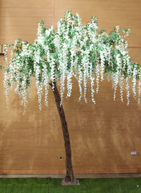 Long Wisteria Branch