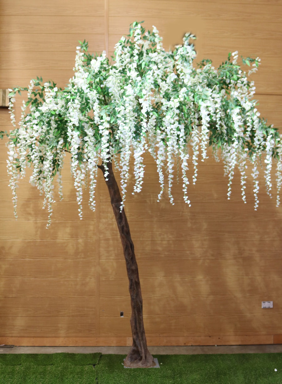 Long Wisteria Branch