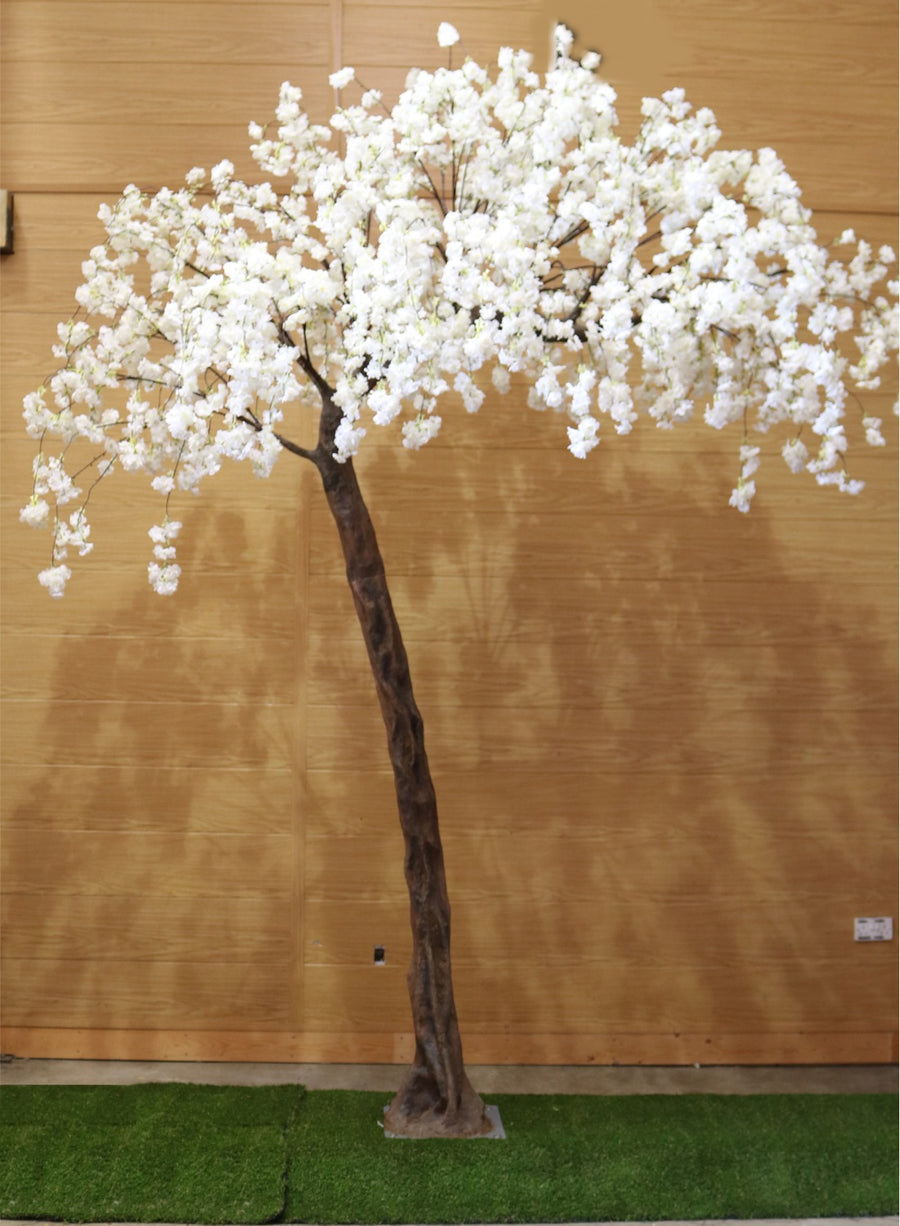 Weeping Cherry Blossom Branch