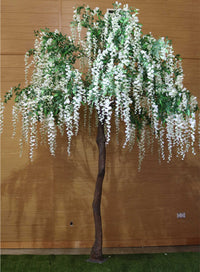 Long Wisteria Branch