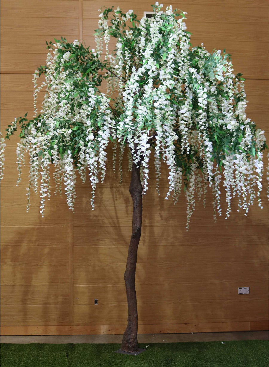 Long Wisteria Branch