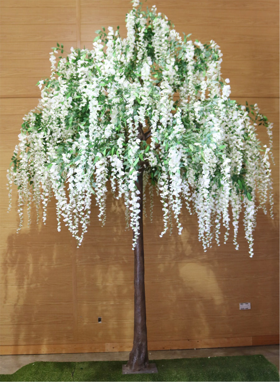 Long Wisteria Branch