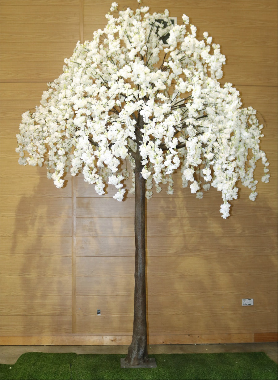 Weeping Cherry Blossom Branch
