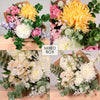 Premium English Garden Bouquet (Mixed Box/2 Colours)