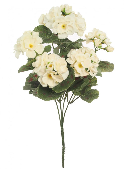 Geranium Bunch