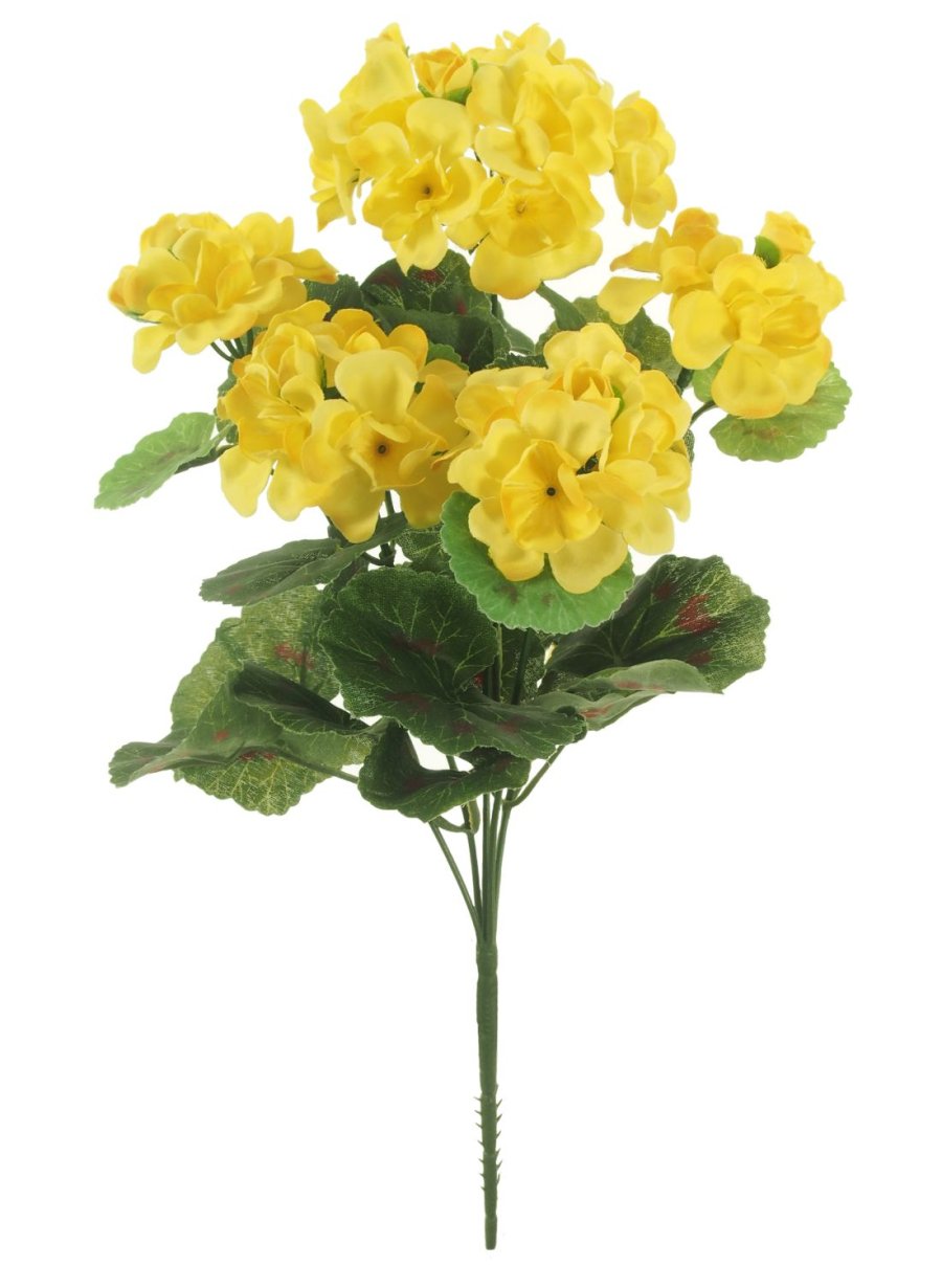 Geranium Bunch - Lotus Imports Limited – Lotus Imports Ltd