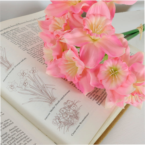 Ruffled Daffodil Bunch