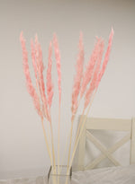 Reed Pampas Bunch (10x Stems)