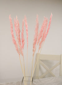 Reed Pampas Bunch (10x Stems)