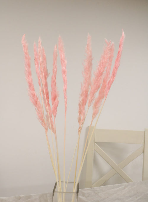 Reed Pampas Bunch (10x Stems)