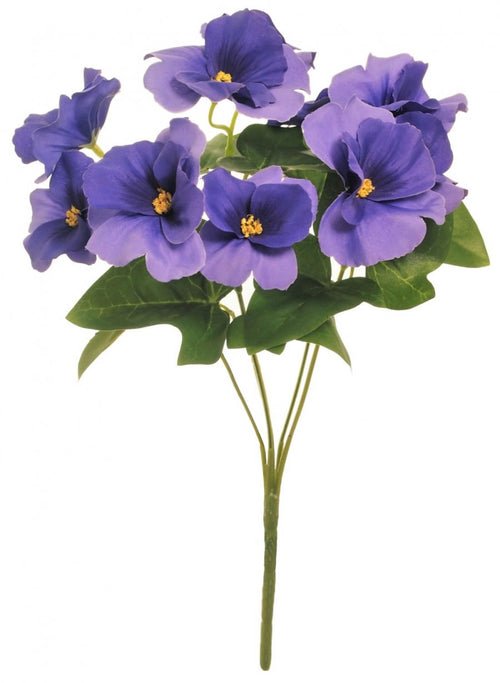 Pansy Bunch