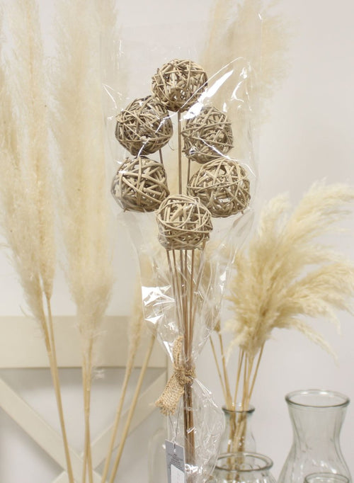 Sleeved Bunch Brunch Ball Stems (6x Stems)