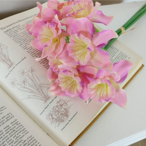 Ruffled Daffodil Bunch