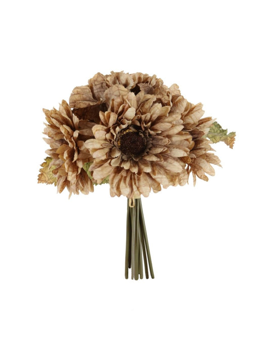 Dried Touch Gerbera Handtie (9x per Bunch)