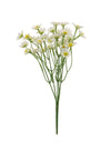 Summer Daisy Bunch
