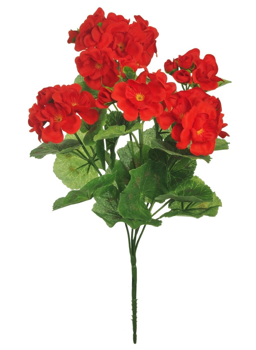 Geranium Bunch - Lotus Imports Limited – Lotus Imports Ltd