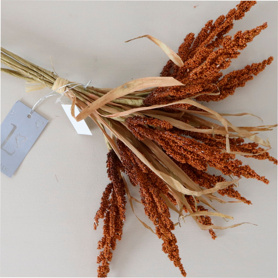 Dried Reed Wheat Bunch - Lotus Imports Limited – Lotus Imports Ltd