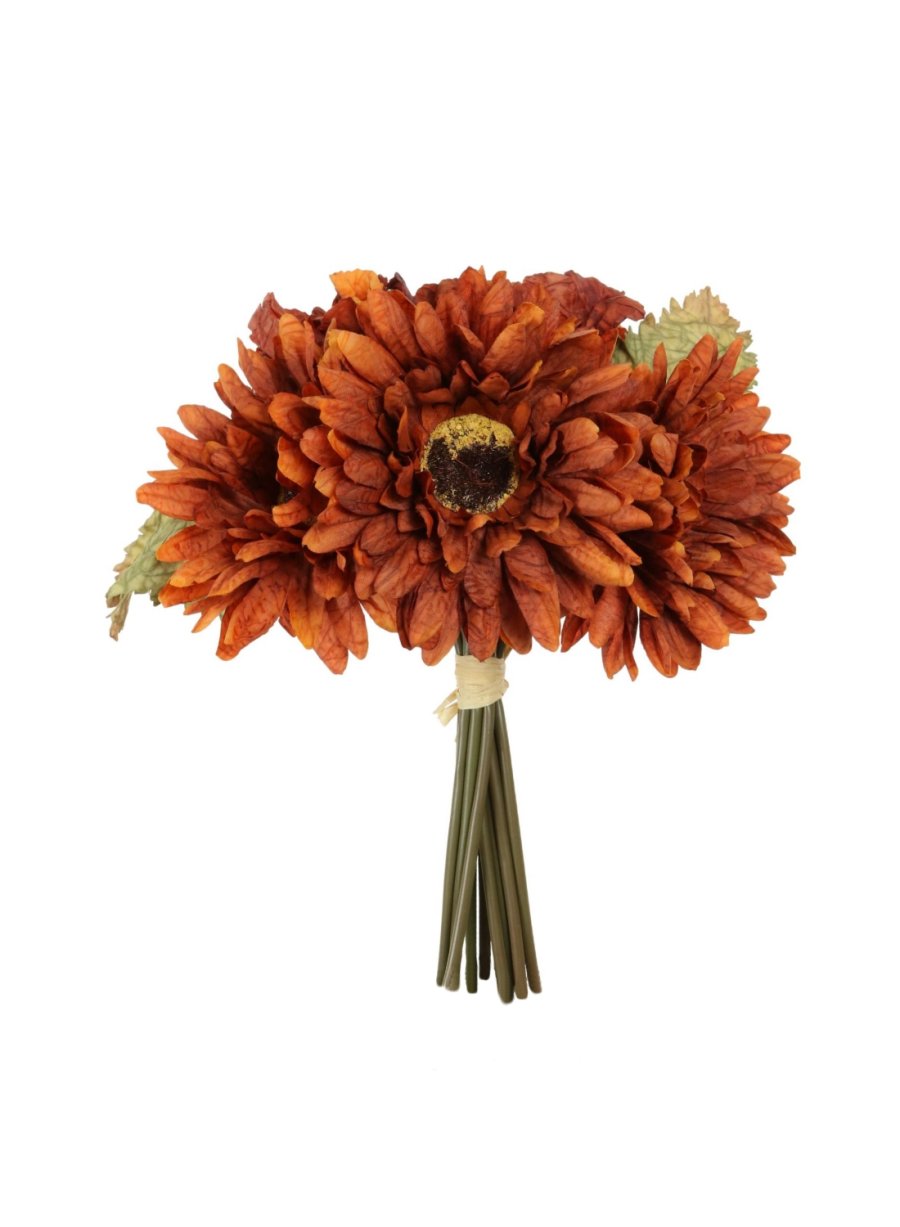 Dried Touch Gerbera Handtie (9x per Bunch)